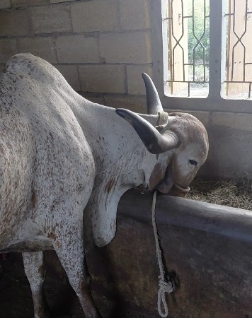 थंबनेल 2