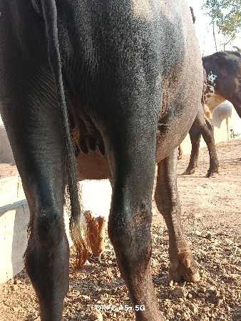 थंबनेल 2