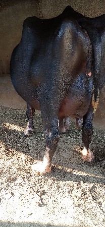 थंबनेल 3