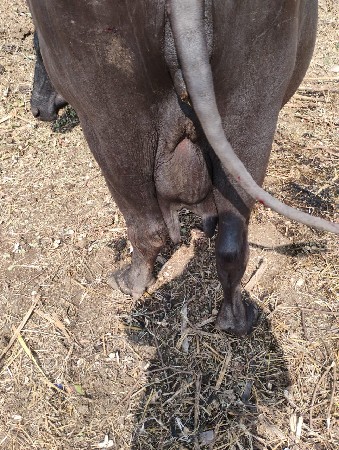 थंबनेल 2