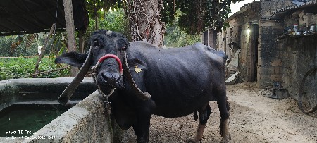 थंबनेल 3