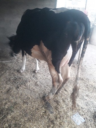 06 જાન્યુઆરી 9:46