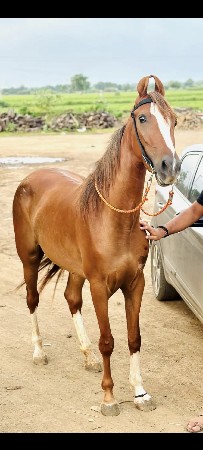 थंबनेल 3