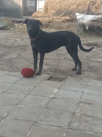 થંબનેલ 2