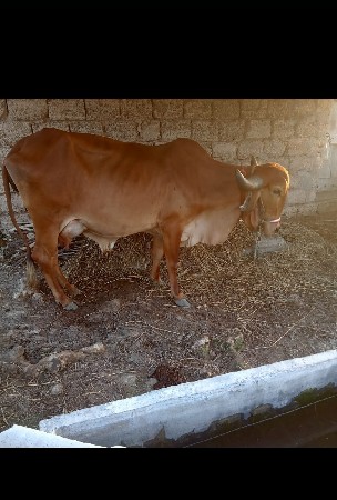 थंबनेल 2