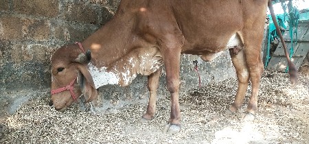 थंबनेल 2