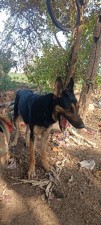 થંબનેલ 3