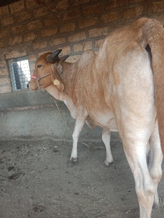 थंबनेल 2