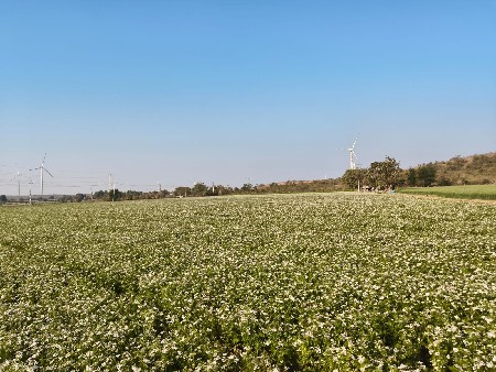 थंबनेल 2