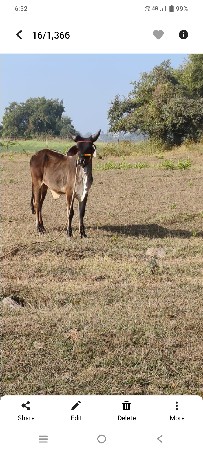 થંબનેલ 3