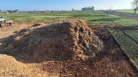 મગફળી નો ભુકો