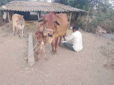 थंबनेल 6