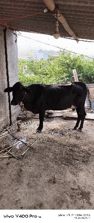 थंबनेल 2