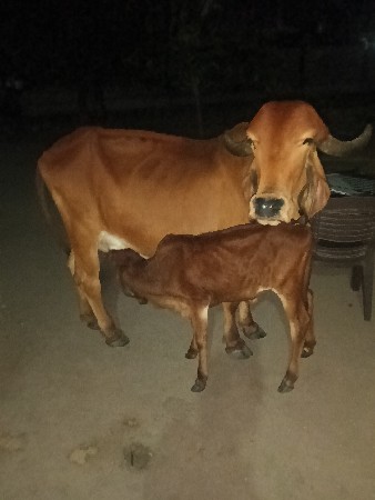 थंबनेल 2