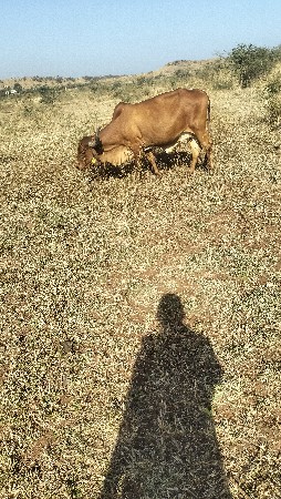 થંબનેલ 2