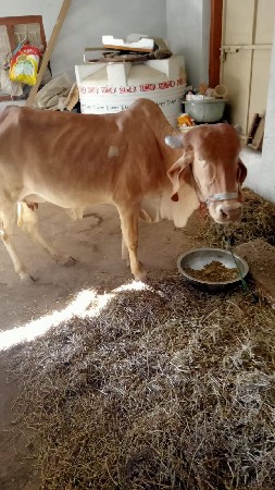 થંબનેલ 3