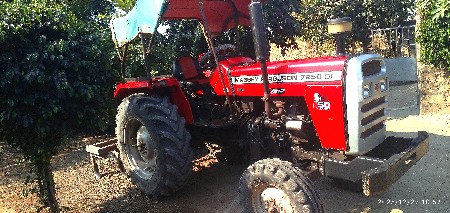 थंबनेल 3