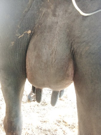 थंबनेल 2