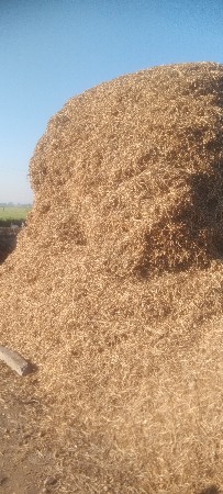 માંડવી નો ભૂકો6354857483