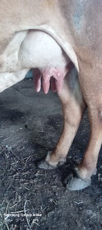 थंबनेल 2