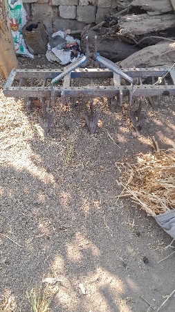 વેસવાના છે