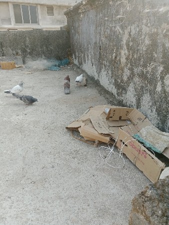 થંબનેલ 3