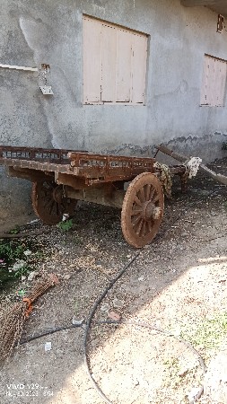 ગાડું વેસવાનું સે  20000