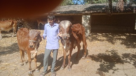 થંબનેલ 3