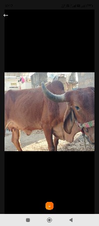 थंबनेल 2