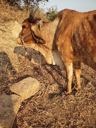 थंबनेल 2