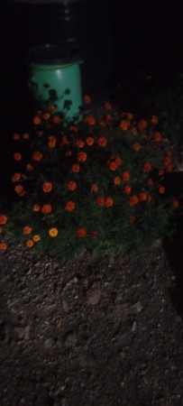 કોયપાશે કાસબો હોયતોકેજો