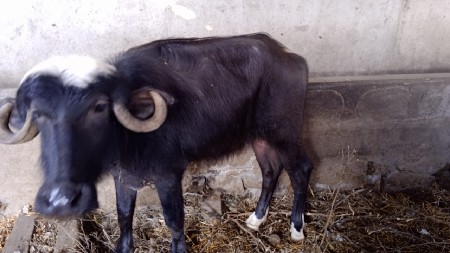 थंबनेल 2