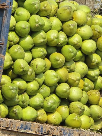 નારિયેળ લે - વેચ