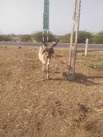 થંબનેલ 3