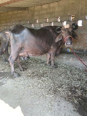 थंबनेल 2