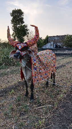 थंबनेल 2