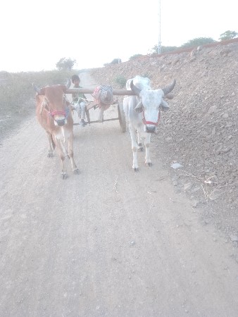 थंबनेल 3