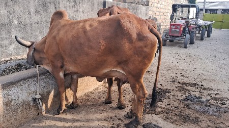 थंबनेल 2