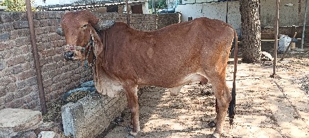 थंबनेल 2