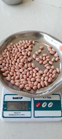 ગીરનાર 5 સાવ કોરી,