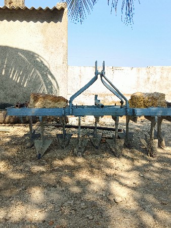 થંબનેલ 2