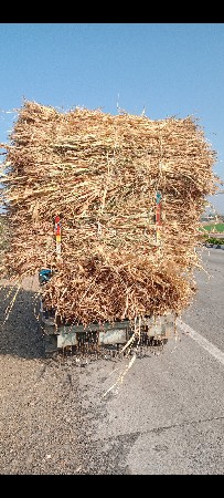 નીરણ લે વેચ