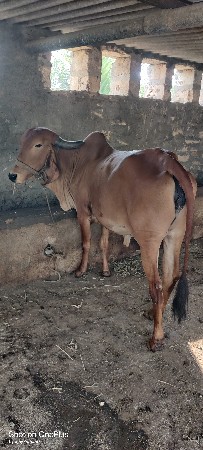 थंबनेल 2