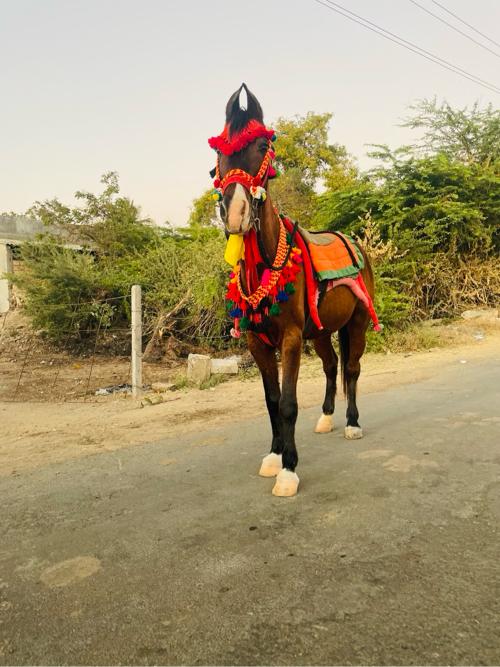 थंबनेल 2