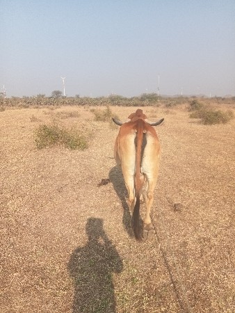 થંબનેલ 3