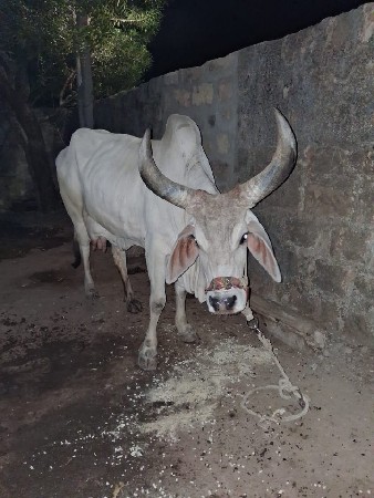 थंबनेल 2