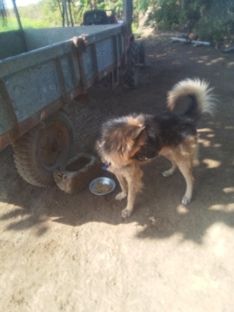 થંબનેલ 2