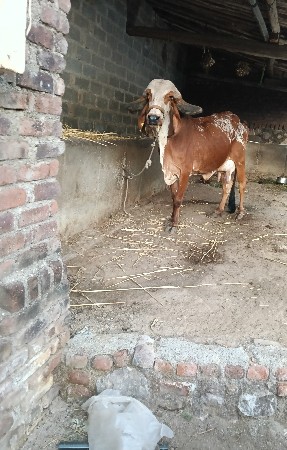 थंबनेल 2