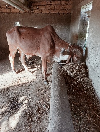 थंबनेल 2