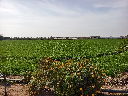 थंबनेल 3